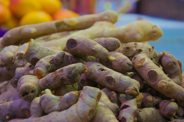 tumeric, health, antioxidant, herbs, nature, healing, brown health, tumeric, tumeric, tumeric, tumeric, tumeric