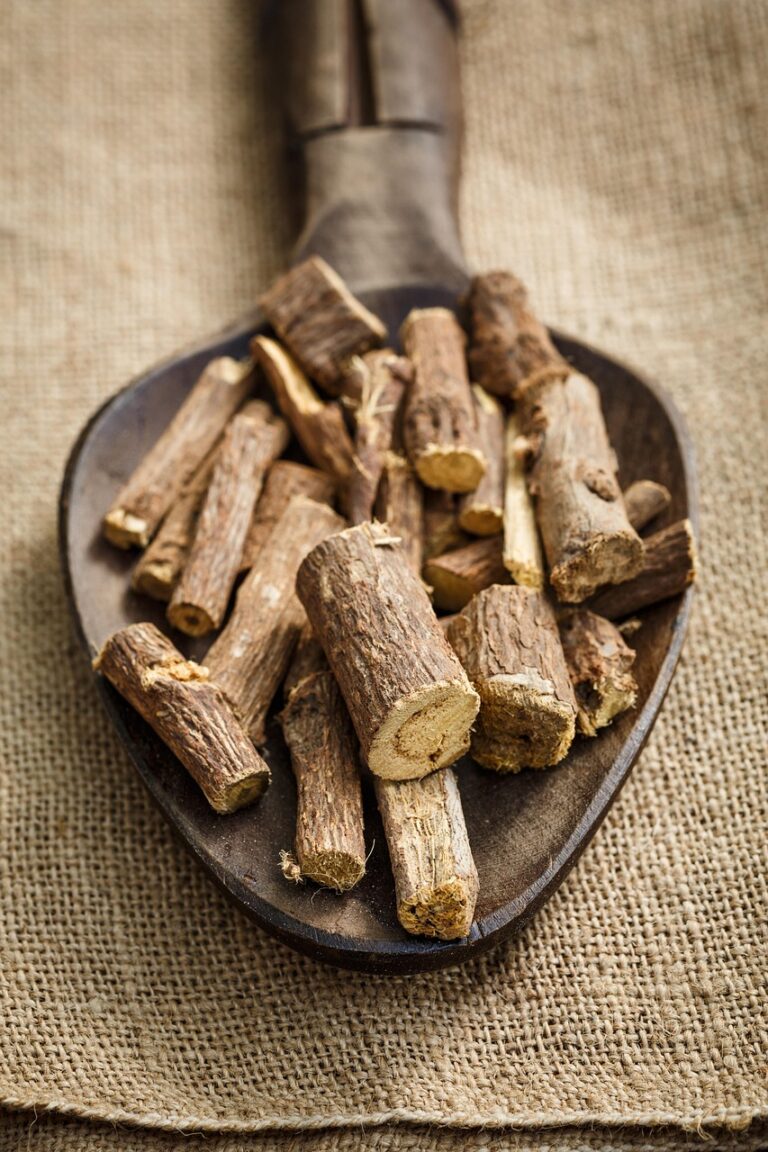 licorice, root, herbal, natural, liquorice, nature, stick, glycyrrhiza, glabra, aromatic, food, ingredient, twig, dried, wood, medicine, plant, alternative, spicy, herb, spoon, cuisine, spice, aroma, cooking, medical, aromatherapy, treatment, remedy, therapy, essence, wooden, homeopathy, brown food, brown medical, brown wood, brown cooking, brown plant, brown medicine, brown therapy, brown plants